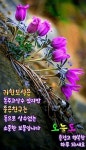 [건강을 지키는 33가지 방법] - 자유 게시방 - 수림결혼정보 www.zzakk.com [건강을 지키는 33가지 방법]