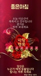 [당신만 있으면 돼요. 그러면 돼요] - 좋은글 - 수림결혼정보 www.zzakk.com [당신만 있으면 돼요. 그러면 돼요]