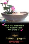 [행복을 막는 10가지 습관] - 감동 좋은글 - 수림결혼정보 www.zzakk.com [행복을 막는 10가지 습관]