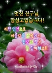🌹한번 맺은 인연(因緣)은 영원하라!🌹 - 감동 좋은글 - 수림결혼정보 www.zzakk.com 🌹한번 맺은 인연(因緣)은 영원하라!🌹