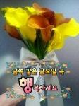아름다운 관계..... - 사랑♡좋은 글방 - 수림결혼정보 www.zzakk.com 아름다운 관계.....