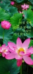 인연 - 사랑♡좋은 글방 - 수림결혼정보 www.zzakk.com 인연
