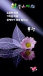 ❤️ 좋은 인연 🧡 - 자유 게시방 - 수림결혼정보 www.zzakk.com ❤️ 좋은 인연 🧡