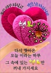 [건강이 최고입니다] - 자유 게시방 - 수림결혼정보 www.zzakk.com [건강이 최고입니다]