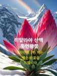 ♡ 만 남 ❤️ - 자유 게시방 - 수림결혼정보 www.zzakk.com ♡ 만 남 ❤️
