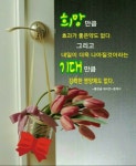 복 배달 왔어요 - 자유 게시방 - 수림결혼정보 www.zzakk.com 복 배달 왔어요