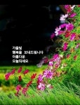 🌹여자와 남자 🌹 - 자유 게시방 - 수림결혼정보 www.zzakk.com 🌹여자와 남자 🌹