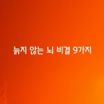 [늙지 않는 뇌 비결 9가지] - 좋은글 - 수림결혼정보 www.zzakk.com [늙지 않는 뇌 비결 9가지]
