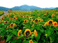 이렇게 사세요 - 좋은글 - 수림결혼정보 www.zzakk.com 이렇게 사세요