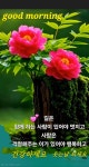 ☆ 이렇게 생각하세요 ☆ - 자유 게시방 - 수림결혼정보 www.zzakk.com ☆ 이렇게 생각하세요 ☆