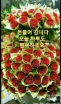 ♠ 작고 사소한 행복들 ♠ - 좋은글 - 수림결혼정보 www.zzakk.com ♠ 작고 사소한 행복들 ♠
