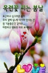 가훈에 쓰기 좋은 고사성어 모음 - 감동 좋은글 - 수림결혼정보 www.zzakk.com 가훈에 쓰기 좋은 고사성어 모음