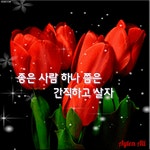 ＜때로는 흔들릴 때가 있습니다＞ - 좋은글 - 수림결혼정보 www.zzakk.com ＜때로는 흔들릴 때가 있습니다＞