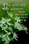 ★ 인간관계 ★ - 좋은글 - 수림결혼정보 www.zzakk.com ★ 인간관계 ★