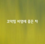 [코막힘 비염에 좋은 차 만들기] - 자유 게시방 - 수림결혼정보 www.zzakk.com [코막힘 비염에 좋은 차 만들기]