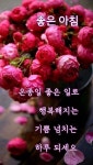 우연에 우연이란 없습니다 - 좋은글 - 수림결혼정보 www.zzakk.com 우연에 우연이란 없습니다