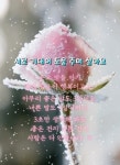 ♣ 양파는 100세 장수식품!! ♣ - 자유 게시방 - 수림결혼정보 www.zzakk.com ♣ 양파는 100세 장수식품!! ♣