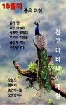 ★ 특별한 행복 ★ - 감동 좋은글 - 수림결혼정보 www.zzakk.com ★ 특별한 행복 ★