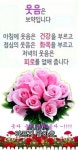 교만한 사람은 행복하지 못합니다 - 좋은글 - 수림결혼정보 www.zzakk.com 교만한 사람은 행복하지 못합니다