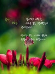 [그대와 가장하고 싶은 것들] - 사랑♡좋은 글방 - 수림결혼정보 www.zzakk.com [그대와 가장하고 싶은 것들]