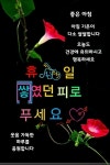 몸에 열이 많은사람과 몸이 찬 사람에게 도움되는 식품 - 자유 게시방 - 수림결혼정보 www.zzakk.com 몸에 열이 많은사람과 몸이 찬 사람에게... 