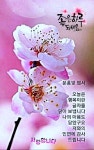 마음을 한번 안아보세요 - 좋은글 - 수림결혼정보 www.zzakk.com 마음을 한번 안아보세요