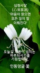 ★ 살면서 가장 아름다운 사람은 ★ - 좋은글 - 수림결혼정보 www.zzakk.com ★ 살면서 가장 아름다운 사람은 ★