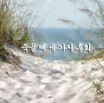 [죽을 때 세 가지 후회] - 감동 좋은글 - 수림결혼정보 www.zzakk.com [죽을 때 세 가지 후회]