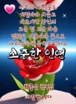 ♡ 쉼이 있는 11월의 첫번째 일요일이에요 ❤️ - 자유 게시방 - 수림결혼정보 www.zzakk.com ♡ 쉼이 있는 11월의 첫번째 일요일이에요 ❤️