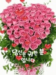 🌹5월의 첫 날 아침편지 향기나는 5월을 선물합니다 - 좋은글 - 수림결혼정보 www.zzakk.com 🌹5월의 첫 날 아침편지 향기나는 5월을... 