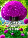 [ 사람들에게환영받는비결 ] - 자유 게시방 - 수림결혼정보 www.zzakk.com [ 사람들에게환영받는비결 ]