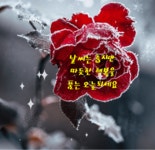우렁이의 사랑법 - 사랑♡좋은 글방 - 수림결혼정보 www.zzakk.com 우렁이의 사랑법