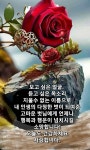 1년 365일 이렇게 사랑하겠습니다 ❤️ - 자유 게시방 - 수림결혼정보 www.zzakk.com 1년 365일 이렇게 사랑하겠습니다 ❤️