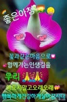 ☆ 좋은 인연 ☆ - 자유 게시방 - 수림결혼정보 www.zzakk.com ☆ 좋은 인연 ☆
