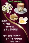 살아가면서 참 많은 사람들을 만나게 된다 - 자유 게시방 - 수림결혼정보 www.zzakk.com 살아가면서 참 많은 사람들을 만나게 된다