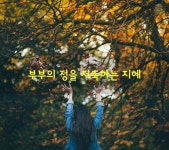 ＜부부의 정을 저축하는 지혜＞ - 사랑♡좋은 글방 - 수림결혼정보 www.zzakk.com ＜부부의 정을 저축하는 지혜＞