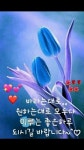 *삶(人生 )에 가장(第一) 소중(所重)한 때(時機)* - 감동 좋은글 - 수림결혼정보 www.zzakk.com *삶(人生 )에 가장(第一) 소중(所重)한 때(時機)*