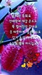 ❤️친구란❤️ - 사랑♡좋은 글방 - 수림결혼정보 www.zzakk.com ❤️친구란❤️