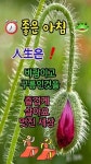 ★ 서로 기대고 사는 인연 ★ - 좋은글 - 수림결혼정보 www.zzakk.com ★ 서로 기대고 사는 인연 ★
