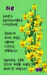 눈물 없이 볼 수 없는 글 - 사랑♡좋은 글방 - 수림결혼정보 www.zzakk.com 눈물 없이 볼 수 없는 글