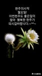 ♥ 행운이 항상 따르는 사람들의 7가지 비밀 ♥ - 사랑♡좋은 글방 - 수림결혼정보 www.zzakk.com ♥ 행운이 항상 따르는 사람들의 7가지... 