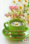 ♠ 활짝웃는 행복한 하루 보내세요! ♠ - 감동 좋은글 - 수림결혼정보 www.zzakk.com ♠ 활짝웃는 행복한 하루 보내세요! ♠