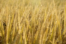 내 소중한 친구들 잘 있는지.... - 공지사항-게시판 - 좋은아침아트엔짐어린이집 내 소중한 친구들 잘 있는지....