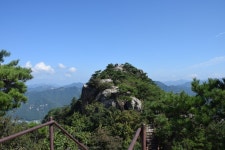 2023년 9월정기산행(문경대야산) - 공지사항 - 동해 산마루 산악회 2023년 9월정기산행(문경대야산)