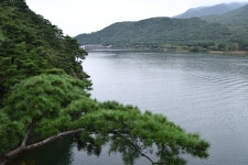 괴산 산막이옛길 - 우리들의 이야기 - 홍추니 괴산 산막이옛길