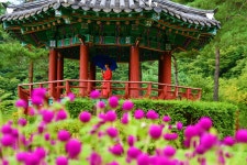 홍천동막리재추니화로구이 | 홍천,춘천 - 사진연습 - 홍추니 홍천,춘천
