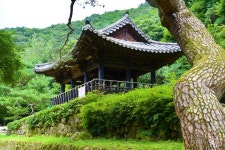 문경 조령3,2,1관문 계곡길 - 우리들의 이야기 - 홍추니 문경 조령3,2,1관문 계곡길
