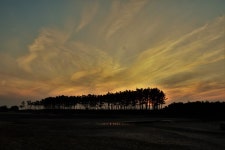 태안 샛별길(2022.02.08)_6코스 - 우리들의 이야기 - 홍추니 태안 샛별길(2022.02.08)_6코스