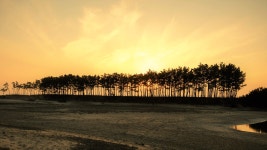 태안 샛별길(2022.02.08)_6코스 - 우리들의 이야기 - 홍추니 태안 샛별길(2022.02.08)_6코스