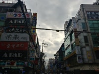 강남권 꼬마건물(꼬마빌딩)투자 정보~ - 12345 - 부동산재테크1번지.매주 공개세미나. 건물.재건축.경매.토지 강남권 꼬마건물(꼬마빌딩)투자 정보~